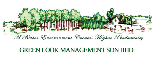 Commercial Cleaning Services