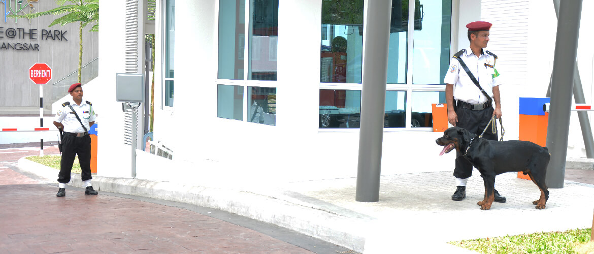 Well Trained Security Services